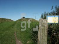 GI01_Foehr13_1316.jpg