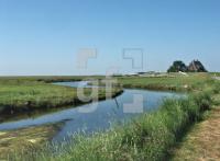GI01_Hooge08_1313.jpg