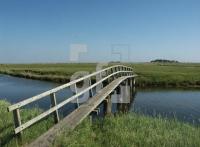 GI01_Hooge46_1313.jpg