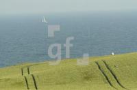 GI04_Schwedeneck02_0114.jpg