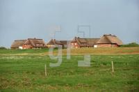GJ20_Groede10_0177.jpg