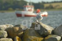 GK03_Ostsee01_0182.jpg