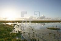 GL02_Wattenmeer_0247.jpg