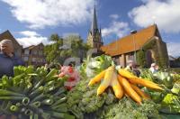 GL02_Wochenmarkt04_0188.jpg