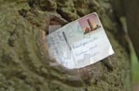 GL13_Eiche01_0108.jpg