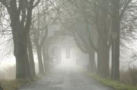 GN21_Allee02_0196.jpg