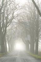 GN21_Allee03_0195.jpg