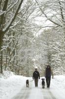 GN29_Wald01_0112.jpg