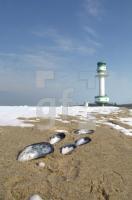 HE04_Winter12_0136.jpg