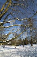 HE05_Winter07_0187.jpg