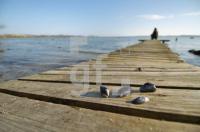 HE12_Winter02_0141.jpg