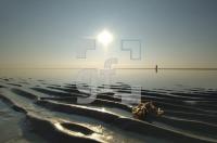HE13_Watt01_0110.jpg