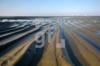 HE13_Watt03_0132.jpg