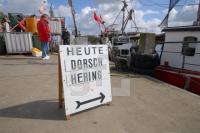 HF18_Kappeln04_0135.JPG