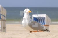 HG01_Sylt02_0167.jpg