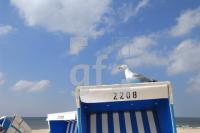 HG01_Sylt06_0133.jpg