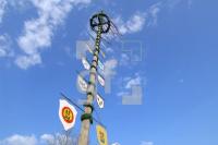 HG10_Maibaum02_0177.jpg
