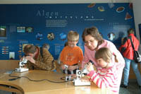HG26_Multi01_0364.jpg
