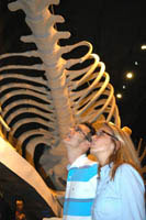 HG26_Multi16_0359.jpg