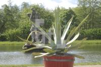 HG29_Gottorf08_0128.JPG