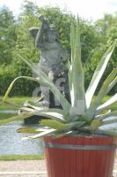 HG29_Gottorf09_0130.JPG