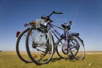 HI18_Westerhever06_1351.jpg