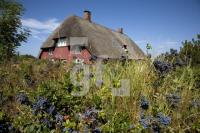 HI25_Amrum14_1358.jpg