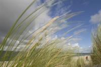 HJ30_Sylt77_0153.JPG