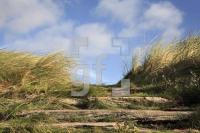 HK99_Nordsee01_1354.jpg