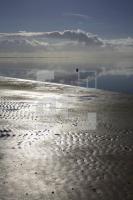 HK99_Nordsee14_1377.jpg