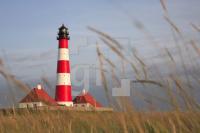 HK99_Westerhever10_1366.jpg