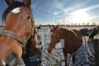 IC25_Winter05_0128.JPG