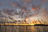 IC29_Schlei05_0105.jpg