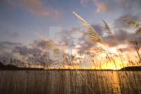 IC29_Schlei09_0181.jpg