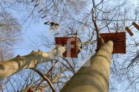 IE26_Hochseil02_0136.JPG