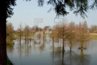 IE29_Aboretum02_0900.jpg