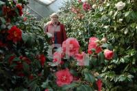 IE29_Aboretum08_0900.jpg