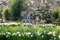 IE29_Aboretum10_0900.jpg
