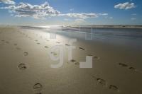 IF03_Ording32_0130.jpg
