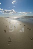 IF03_Ording33_0131.jpg