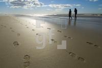 IF03_Ording34_0133.jpg