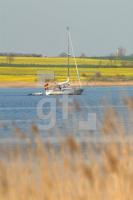 IF16_Schlei09_0167.JPG
