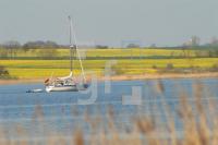 IF16_Schlei10_0159.JPG