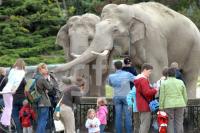 IF17_Hagenbeck_0104.JPG