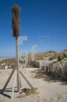 IF28_Ellenbogen22_1322.jpg