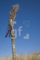 IF28_Ellenbogen23_1323.jpg