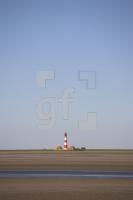 IF29_Westerhever01_1311.jpg