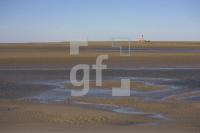 IF29_Westerhever02_1322.jpg
