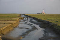 IG31_Westerhever01_1344.jpg