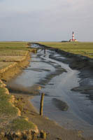 IG31_Westerhever02_1322.jpg